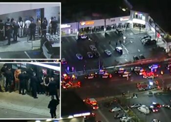 At least 2 dead, dozens detained after shooting at strip mall near LA university