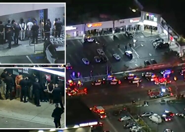 At least 2 dead, dozens detained after shooting at strip mall near LA university