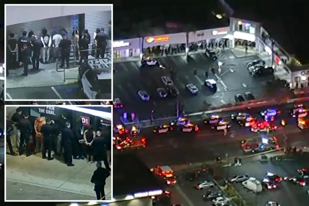 At least 2 dead, dozens detained after shooting at strip mall near LA university