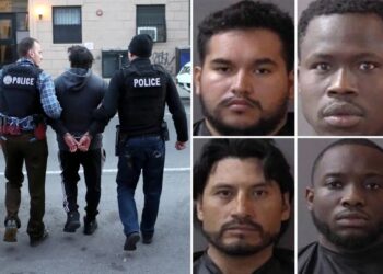 Four of 11 suspected sex offenders arrested in Indiana sting are illegal immigrants: DHS