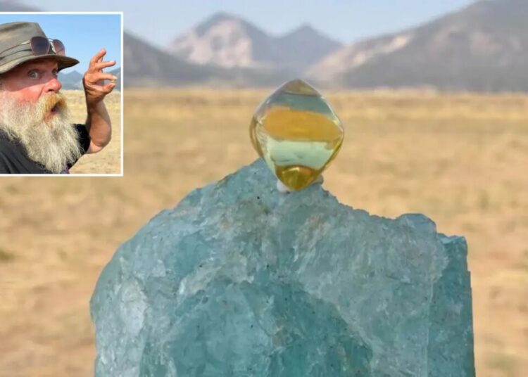 Arkansas gem hunter finds diamond he claims could be worth $1 million