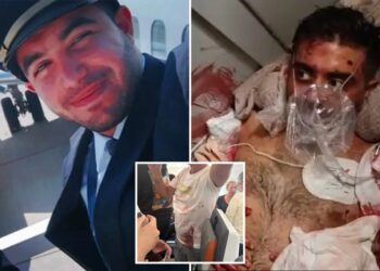 Flydubai co-pilot used crash ax to hack at pilot in attempted ‘terrorist attack’: UAE official