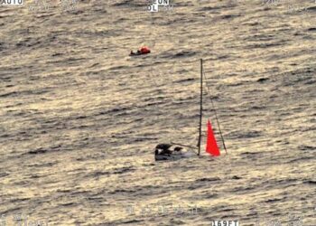 Whale Batters a Yacht, Leaving Its Crew Stranded for 18 Hours