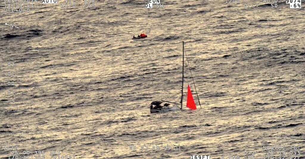 Whale Batters a Yacht, Leaving Its Crew Stranded for 18 Hours
