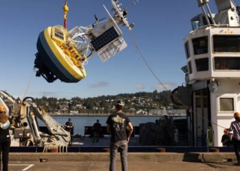 After Outcry, Monitors the Trump Administration Tried to Scrap Return to Sea