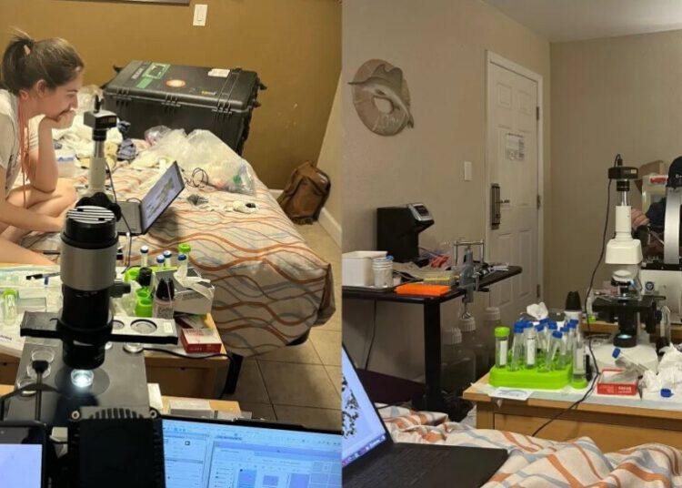 Rag Tag Team of Biologists Who Lost Funding Because of Trump Turned a Motel Room into Makeshift Lab and Made a Groundbreaking Discovery