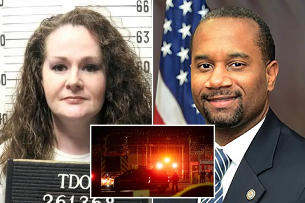 Ex-US Attorney will lead independent review of Christa Pike botched execution