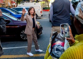 Cornell Case Carries Far-Reaching Implications for Hochul and James