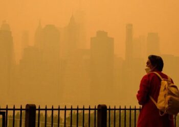 Scientists Warn of Another Unseen Risk From Fire: Ozone