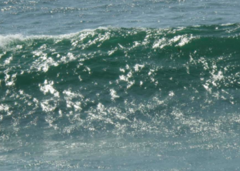 What’s going to happen in the midterm election? Find out here. (Maybe)