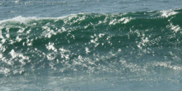What’s going to happen in the midterm election? Find out here. (Maybe)