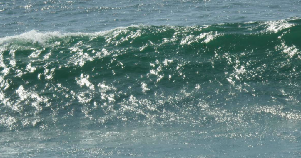 What’s going to happen in the midterm election? Find out here. (Maybe)