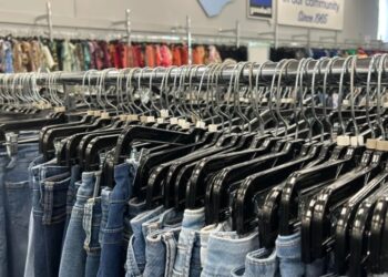 Can thrift shops save us from Shein?