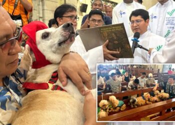 Wagging tails fill Malate Church as priests bless pets for St. Francis feast