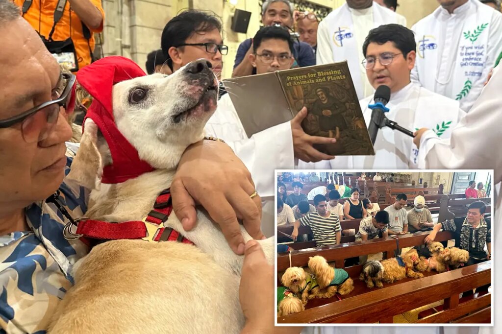 Wagging tails fill Malate Church as priests bless pets for St. Francis feast