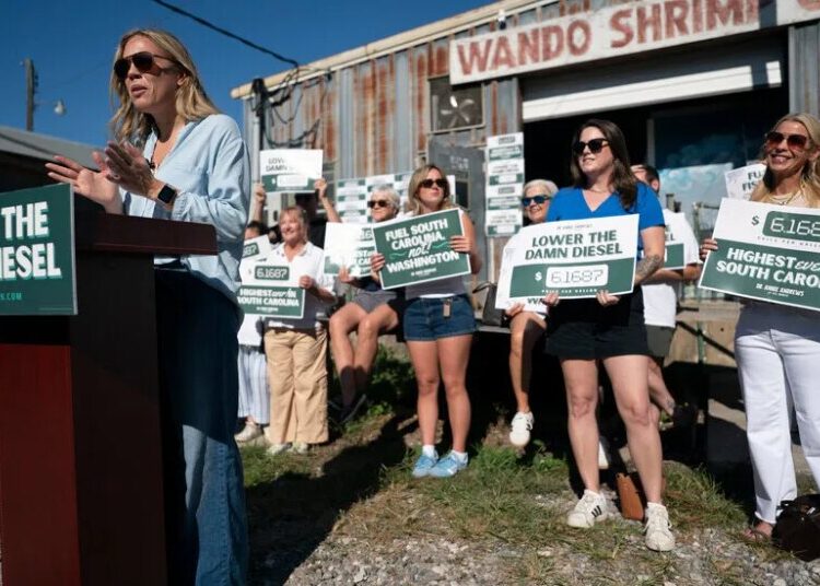 As Democrats’ Midterm Dreams Grow, South Carolina Becomes a Test of the Possible