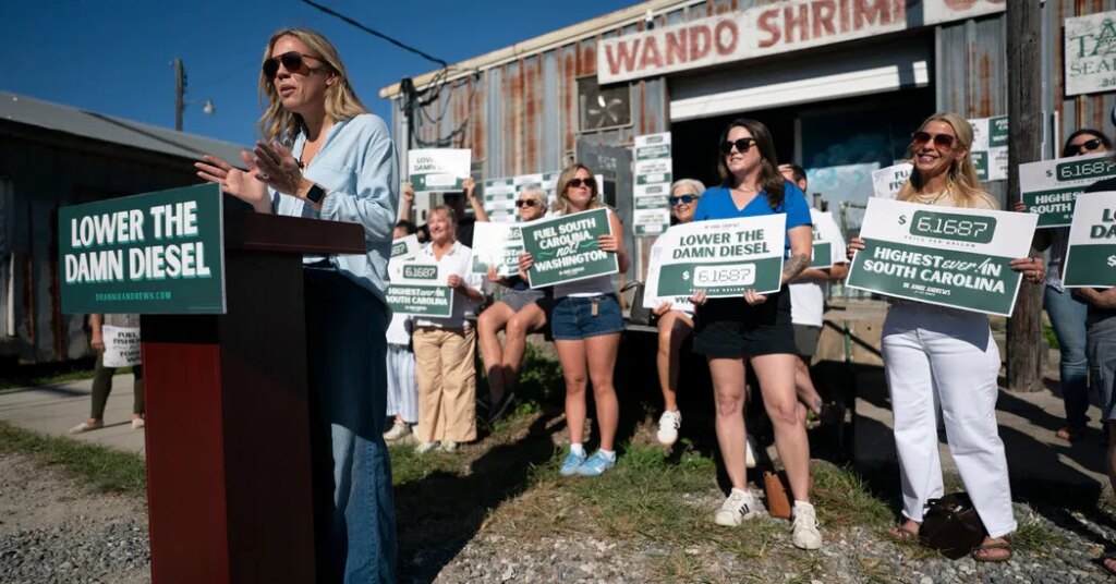 As Democrats’ Midterm Dreams Grow, South Carolina Becomes a Test of the Possible