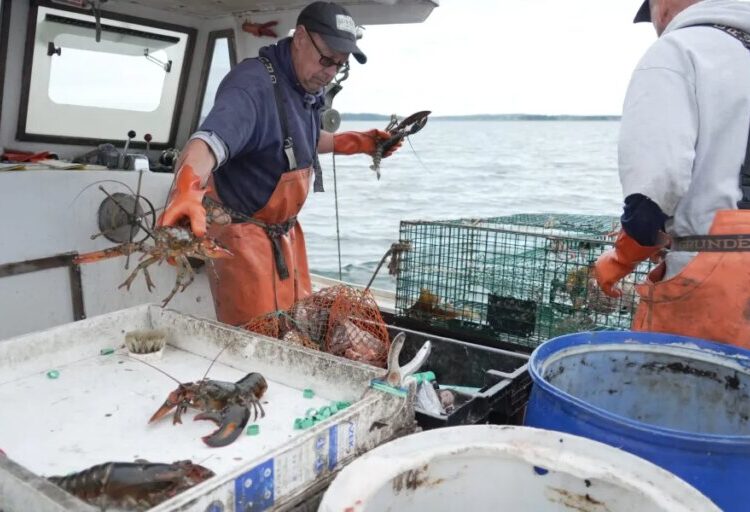 Diesel prices are so high that commercial fishermen sometimes can’t even afford to leave the dock. ‘It’s huge. It’s crazy. Thank you, Donald Trump’