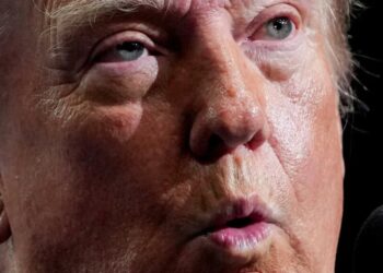 Trump’s ‘explosive diarrhea’ problem hands Dems ‘bizarre’ midterm weapon: analysis