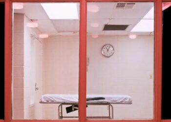 I Know Christa Pike’s Medical History. What Tennessee Did Is Unforgivable.