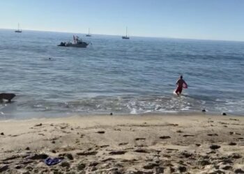 Kayaker attacked by a shark off Paradise Cove in Malibu as dramatic video emerges: report