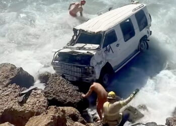 Watch dogs pulled from the Pacific after van plunges into the surf near Malibu