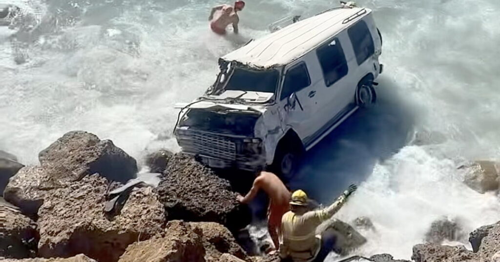 Watch dogs pulled from the Pacific after van plunges into the surf near Malibu