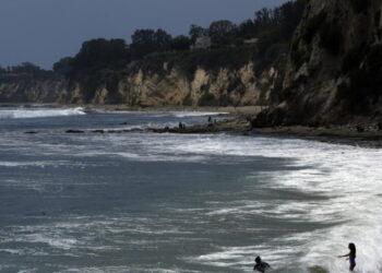 Kayaker reportedly tangles with shark while fishing, is bitten, knocked into water, bitten again
