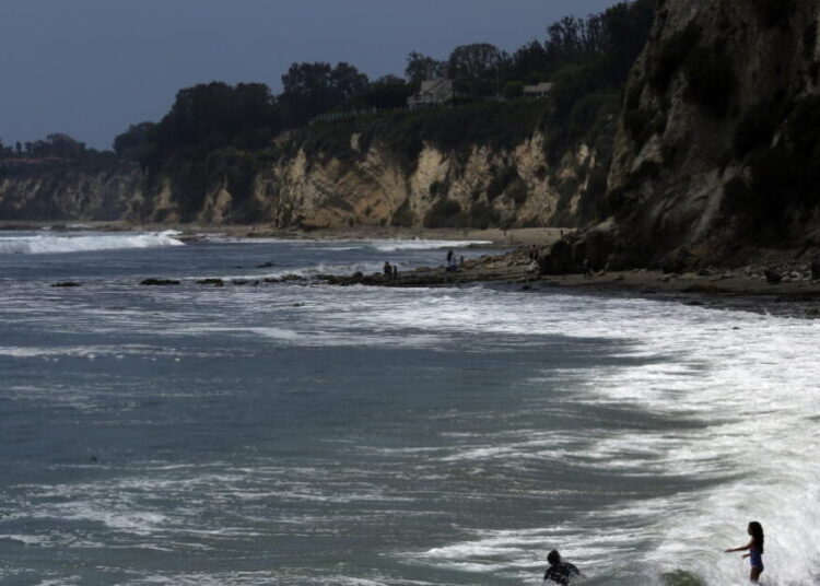 Kayaker reportedly tangles with shark while fishing, is bitten, knocked into water, bitten again