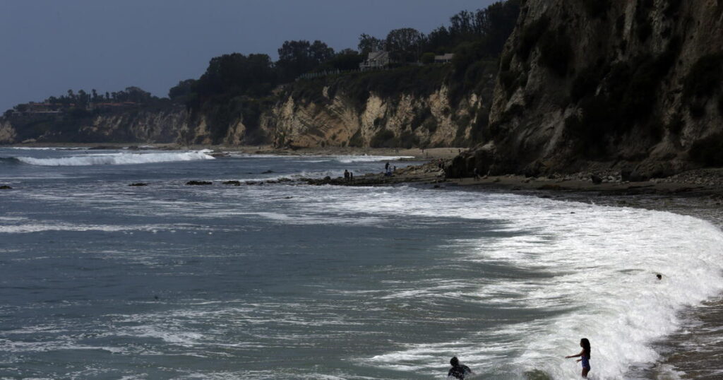 Kayaker reportedly tangles with shark while fishing, is bitten, knocked into water, bitten again