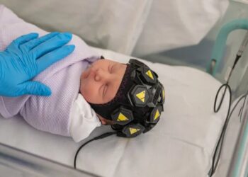 Are Babies Conscious?