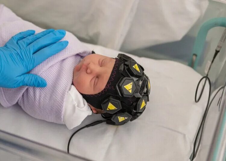 Are Babies Conscious?