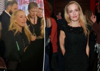 Gillian Anderson sets the record straight on her confrontation with ‘distracting’ superfans