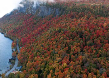 When Is the Best Time to See Peak Fall Foliage?
