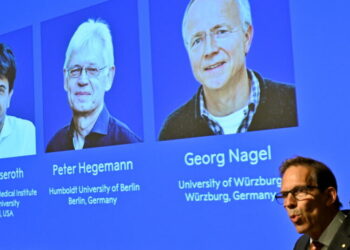 Nobel medicine prize goes to 3 scientists for research into brain activity
