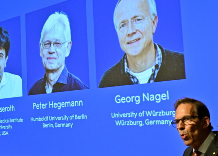 Nobel medicine prize goes to 3 scientists for research into brain activity