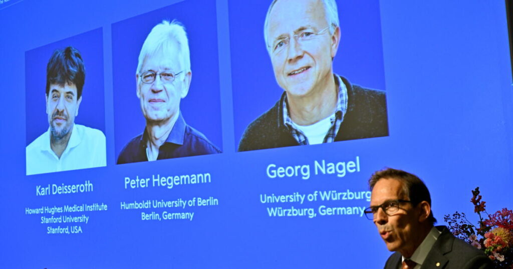 Nobel medicine prize goes to 3 scientists for research into brain activity