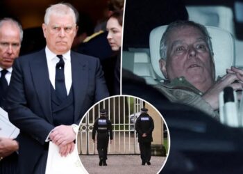 Ex-Prince Andrew takes legal action against police over birthday arrest