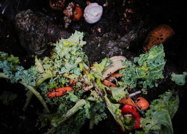 Budding food scrap businesses want your coffee grounds and eggshells
