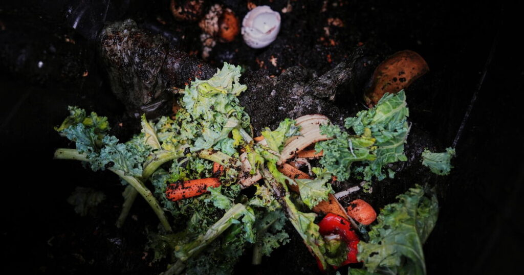 Budding food scrap businesses want your coffee grounds and eggshells