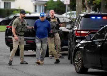 Judge unearths elaborate ICE agent hoax: ‘Some things simply strain the imagination’