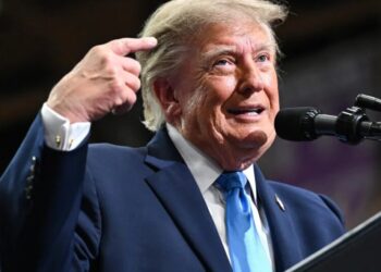 Trump’s plan to buy votes, briefly explained