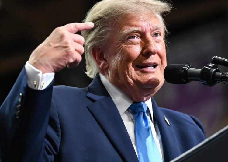 Trump’s plan to buy votes, briefly explained