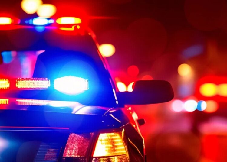 Anthropic Reports User to the Police
