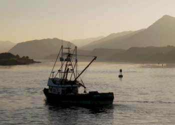How Alaska’s Fish Became a Defining Issue for the Midterms