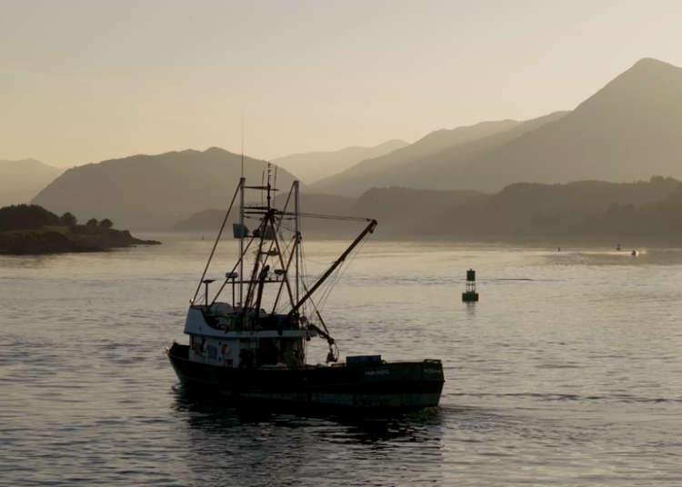 How Alaska’s Fish Became a Defining Issue for the Midterms