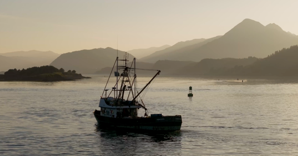 How Alaska’s Fish Became a Defining Issue for the Midterms