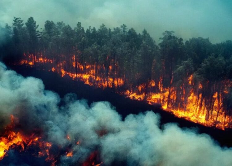 As the Planet Burns, Massive Climate Lawsuit Against Oil Companies Goes to the Supreme Court