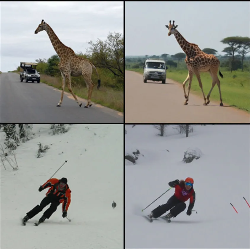 Composites featuring images of a giraffe and a skier. 