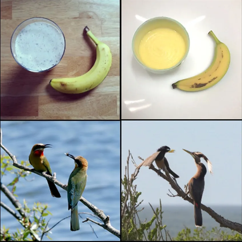Composite featuring images of bananas and birds.